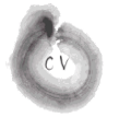 cv